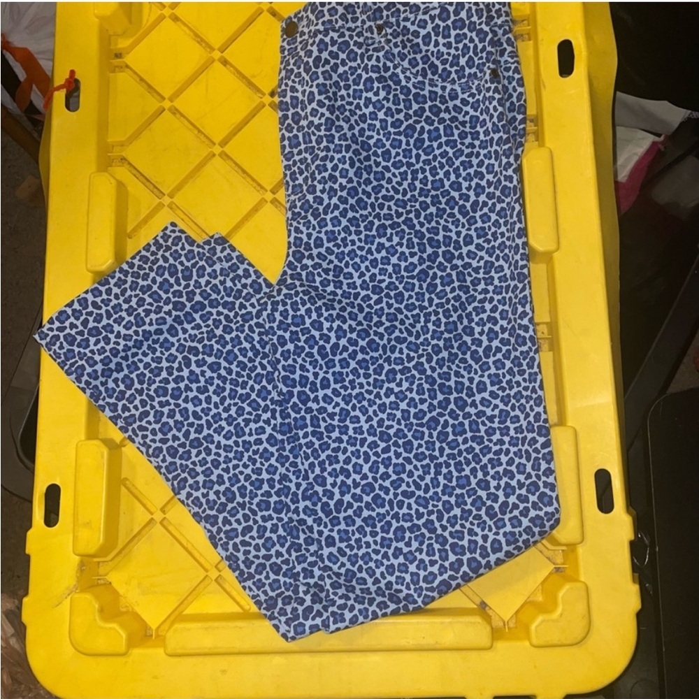 Blue Patterned Women's Pants